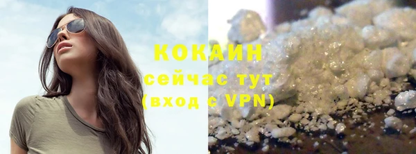 кокс Богородицк