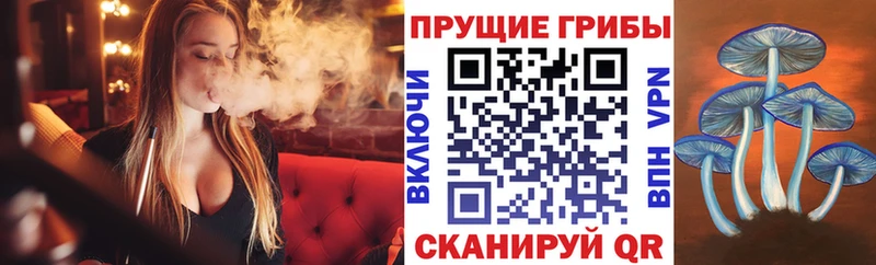 Псилоцибиновые грибы мицелий  Пионерский 